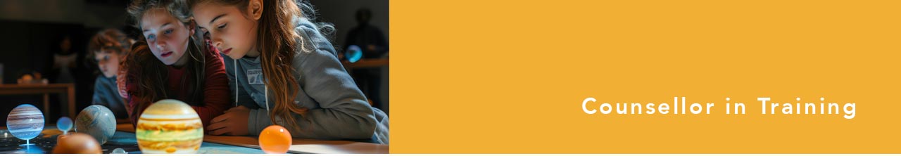 btn - counsellor in training2